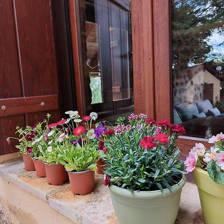 Εν Αρχή - En Arhi Villa Áno Tríkala Kültér fotó