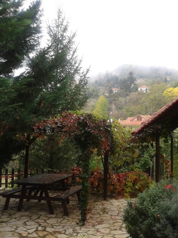 Εν Αρχή - En Arhi Villa Áno Tríkala Kültér fotó