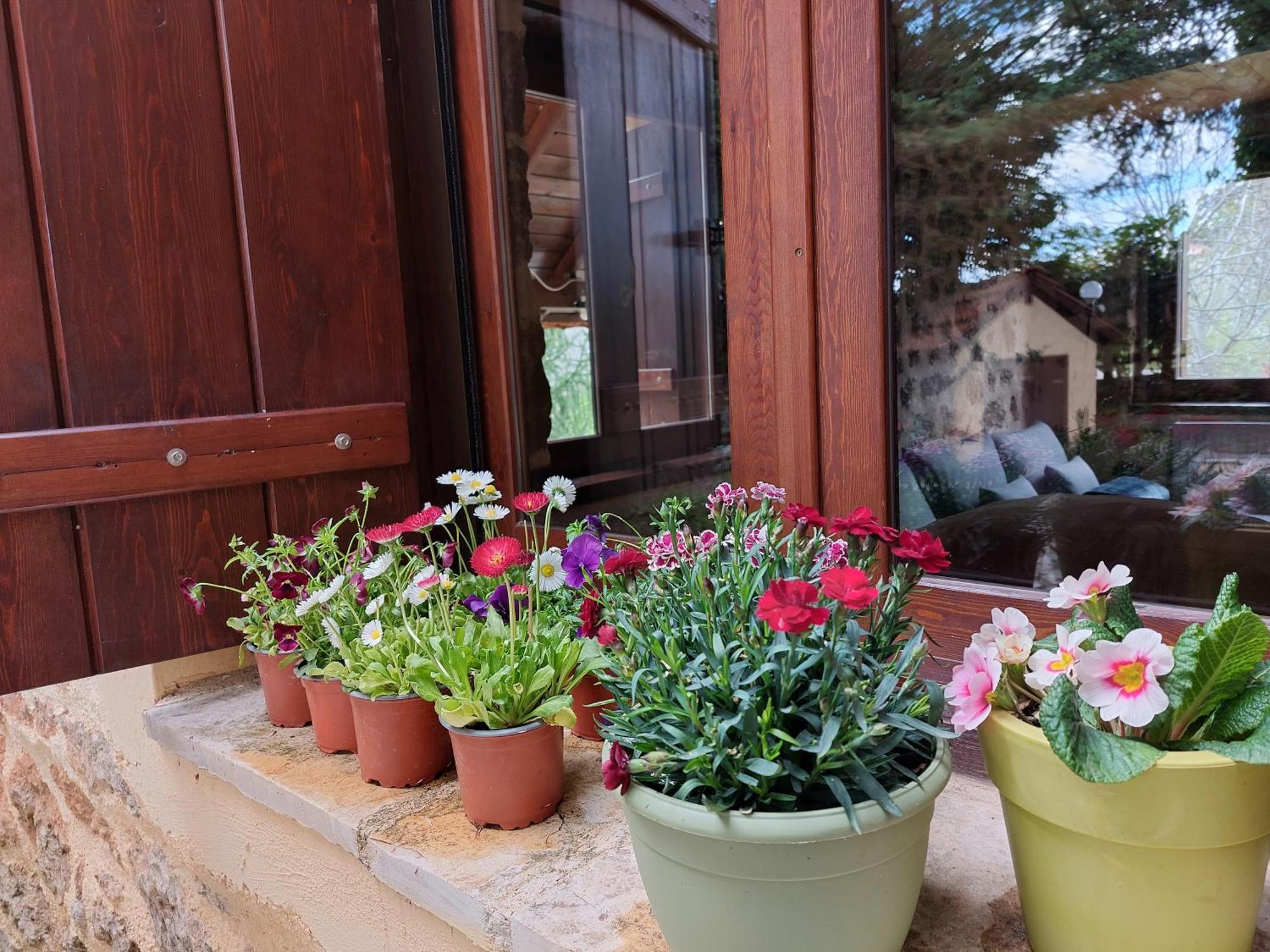 Εν Αρχή - En Arhi Villa Áno Tríkala Kültér fotó