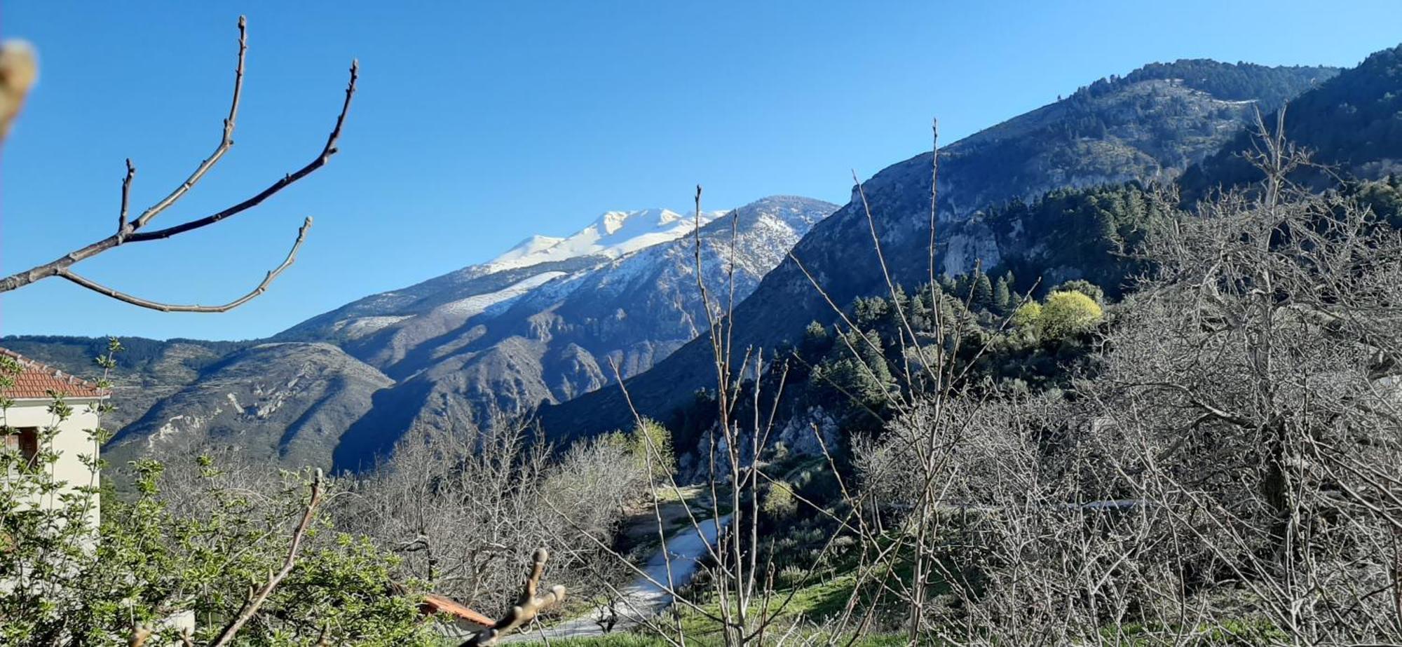 Εν Αρχή - En Arhi Villa Áno Tríkala Kültér fotó