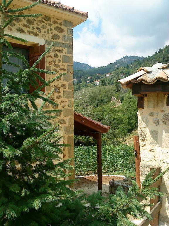 Εν Αρχή - En Arhi Villa Áno Tríkala Szoba fotó