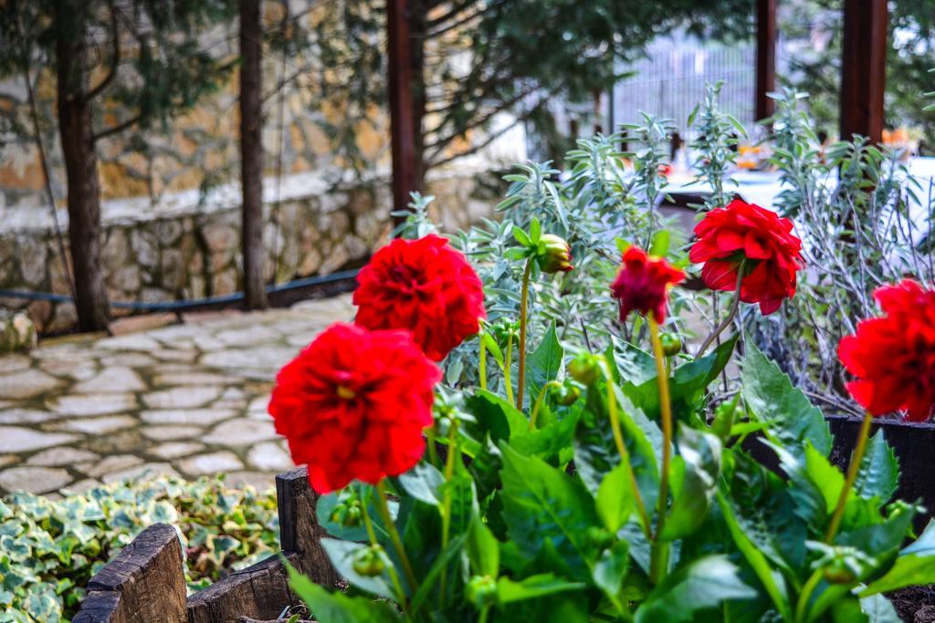 Εν Αρχή - En Arhi Villa Áno Tríkala Kültér fotó